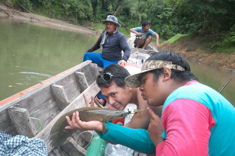 ตอนนี้ เริ่มมีรังษ๊ริษยา แพร่กระจายอยู่เต็มลำเรือครับ  :laughing:
