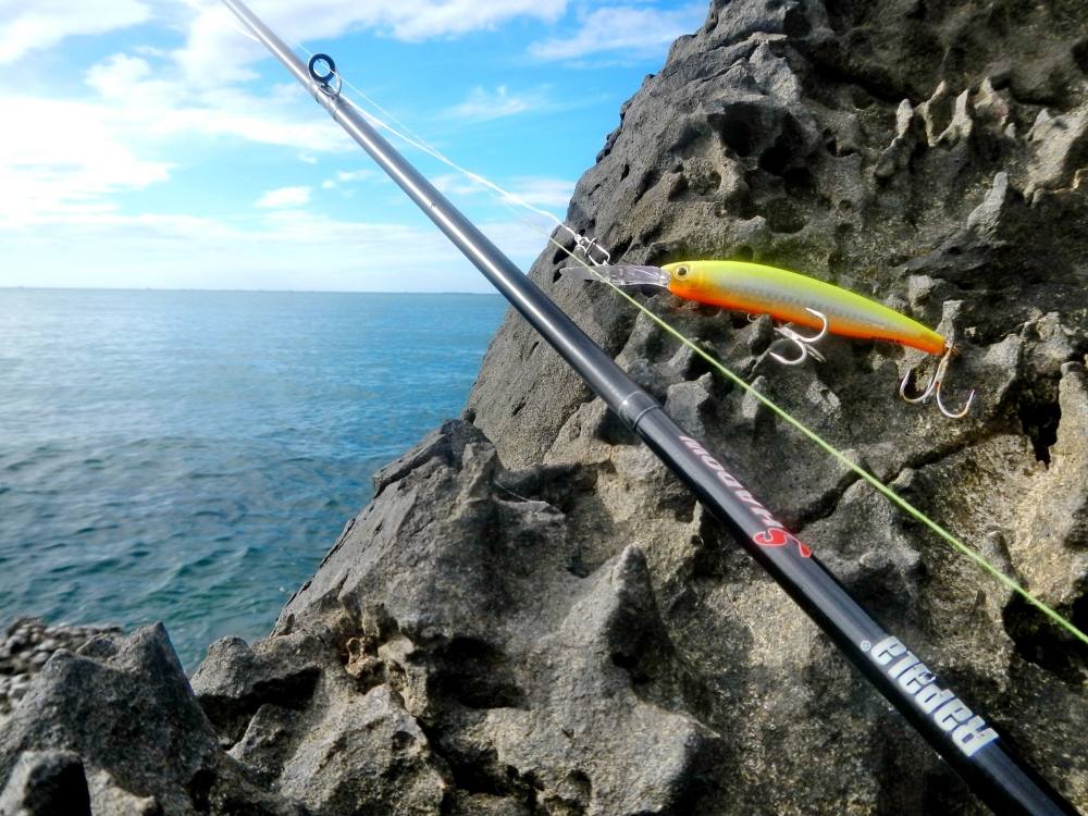 [b]เลยเตรียมจัด  ...Rapala Maxrap Fat Minnow 9 cm....  ไปสำรวจดูปลานักล่าที่อาศัย .."เพิงหิน "...