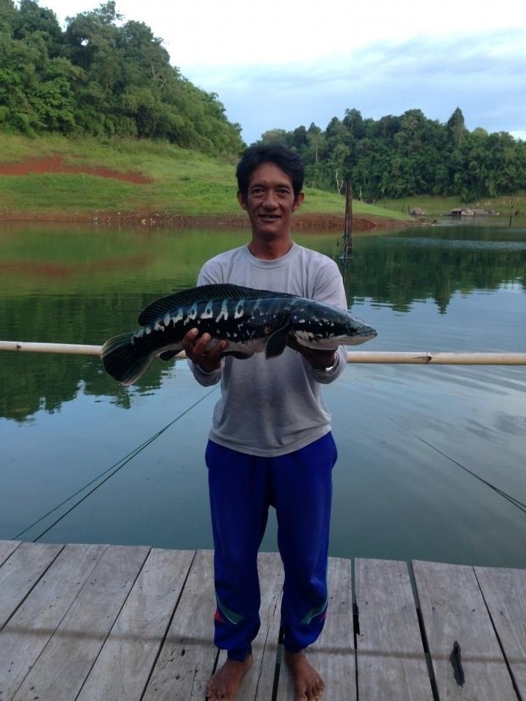 วันนี้ออกเรือมาครับ นี้คือผลงานของวันนี้คร้บ