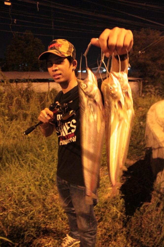 งดงามคืนนี้ครับ...................... :cool: :cool: :cool: :cool: :cool: :cool: :cool: :cool:
