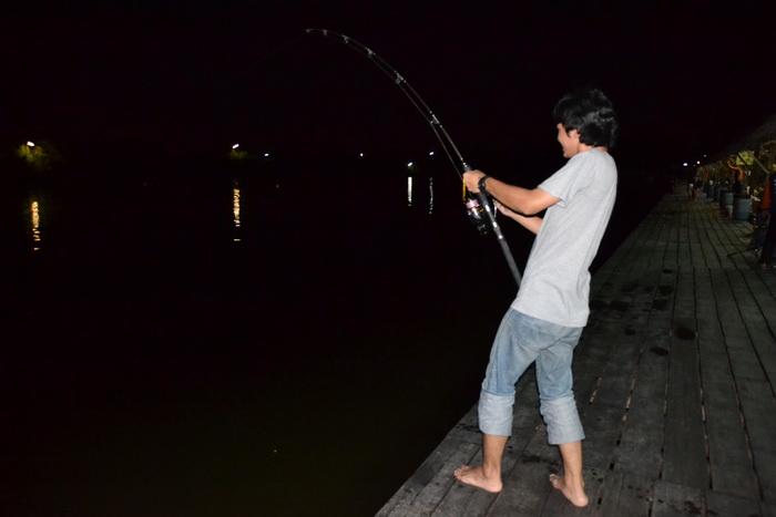 ให้เพื่อนเล่นบ้างเดี๋ยวจะเหงา  :laughing: :laughing: :laughing: