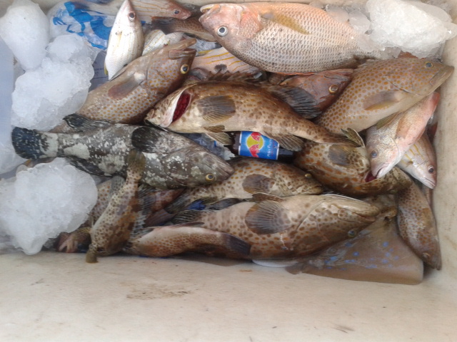 ขับเรือไปเรื่อยๆ บังเอิญเจอหลุมอะเก๋าเข้าให้  :umh: :umh: :umh: