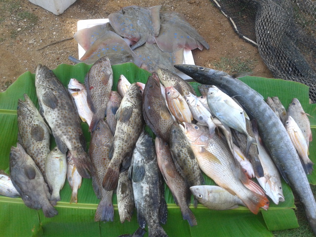 ปลารวมครับผม ทิปนี้ไป2คนครับ