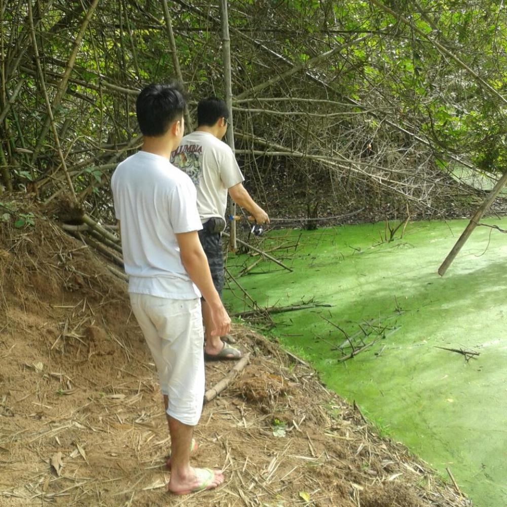  หันไปอีกที อ่าวหัวหน้าไปทะเลาะกับต้นไผ่ซะแล้ว55555:cheer:
 :laughing: :laughing: :laughing: :laugh