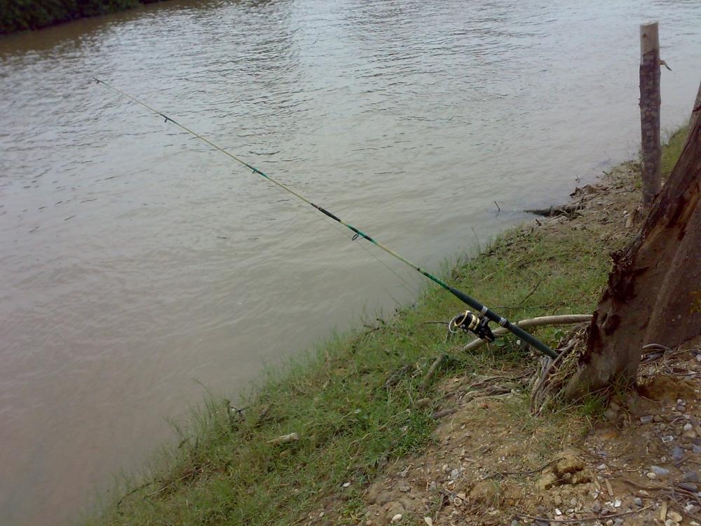 ตกปลาเล่นๆ วันนี้
กับ  Daiwa Bg 60