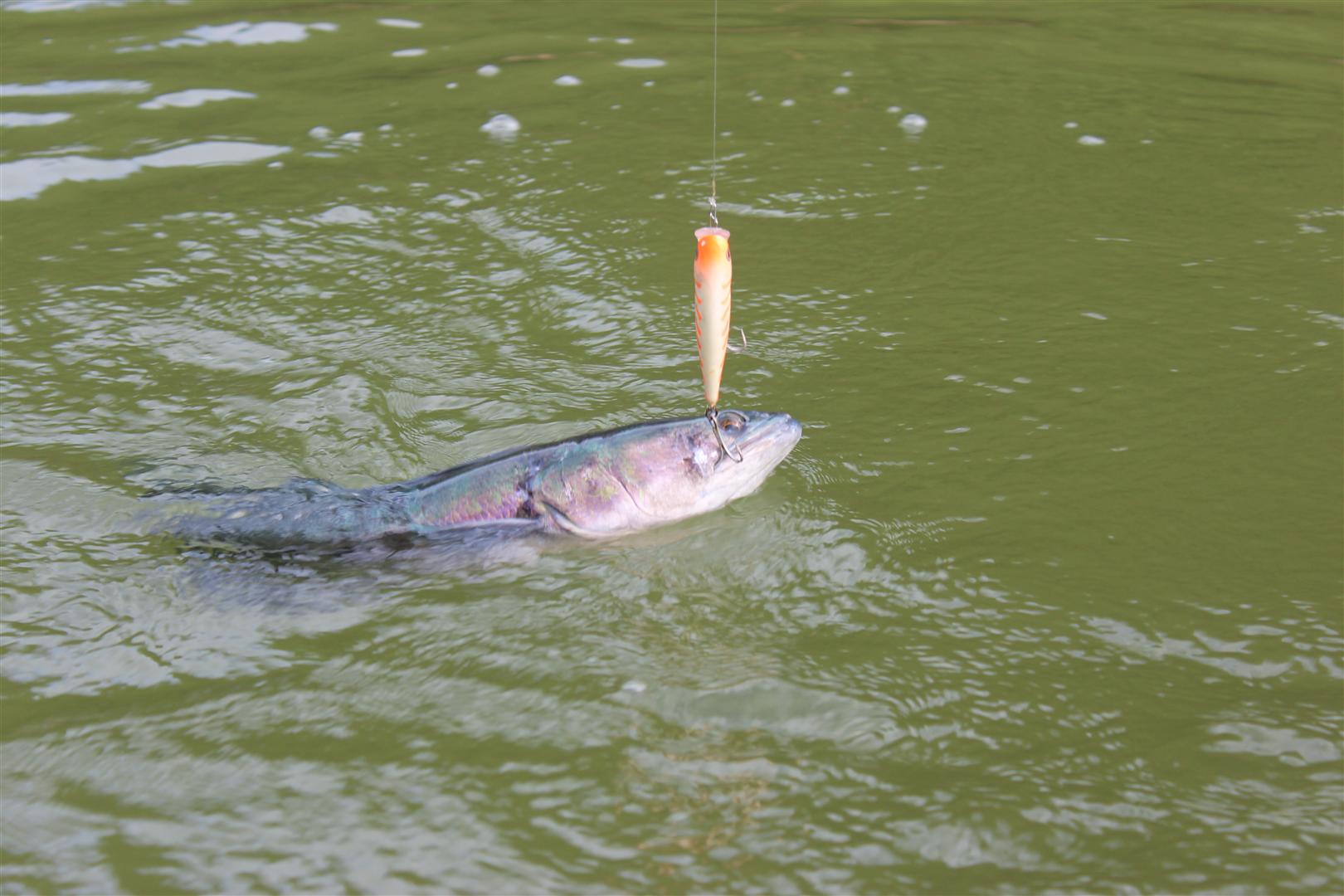  :smile: :smile: :smile: