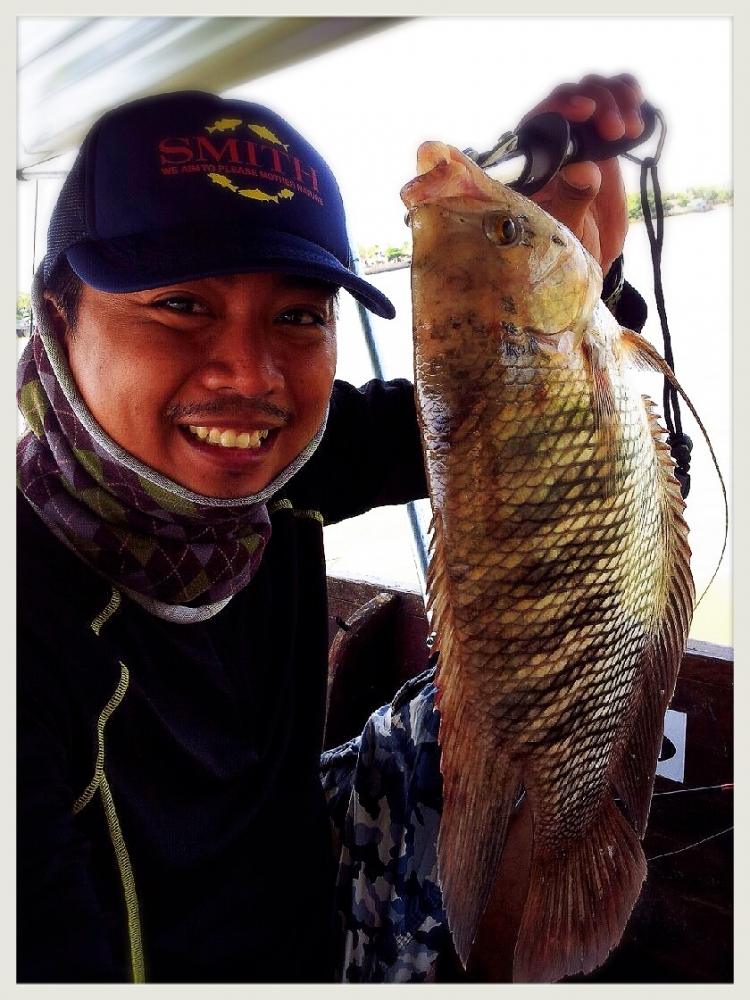 ชุดอุปกรณ์ที่ใช้ก็เป็นชุดตกสปิ๋วครับ
Rod : Shakespeare Speeva 5'0" 4-8 lb.
Reel : SeaSide CP1000