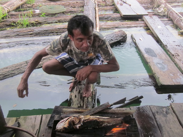 รอบแรกไม่รีบร้อน พอถึงแพเจอพี่สมชายกำลังทำอาหารมื้อเย็น ปลาช่อนเผาครับ
