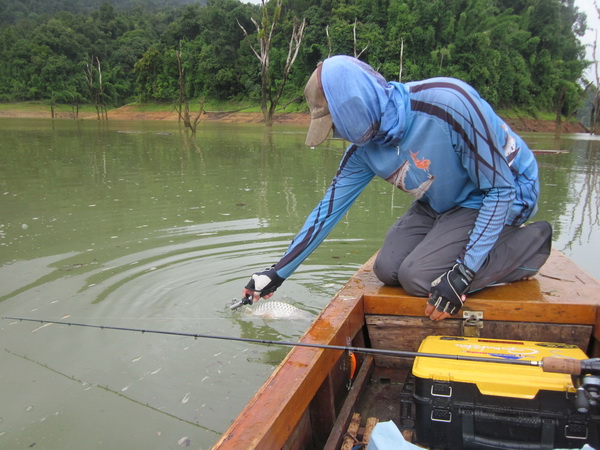 สุขใจ