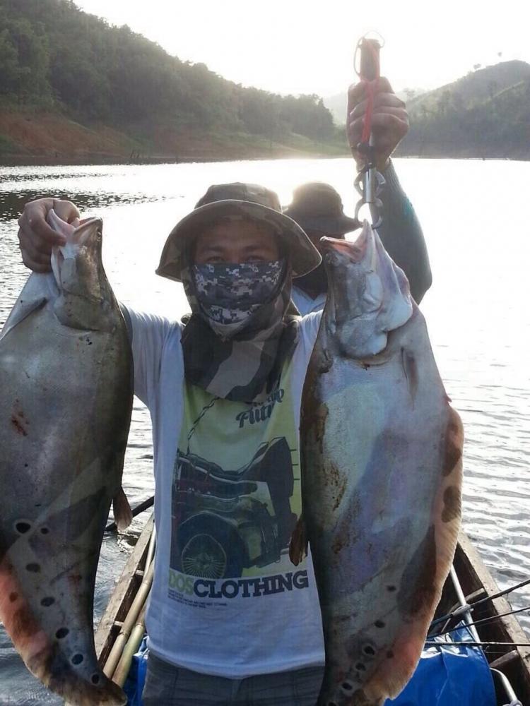 ปลากรายไซค์สวยๆได้มา3ตัวครับผม 
ขอบคุณ www.siamfishing.com และพี่ๆน้าๆทุกท่านที่ติดตามรับชมผมและเพื