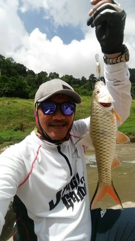 
พี่ปูยังได้อยู่เรื่อยๆเหมือนเดิม มีการบอกว่าเบื่อแระ...คราวหน้าไปหาชะโดตีดีกว่าสระสูบตียังไงก็กิน 