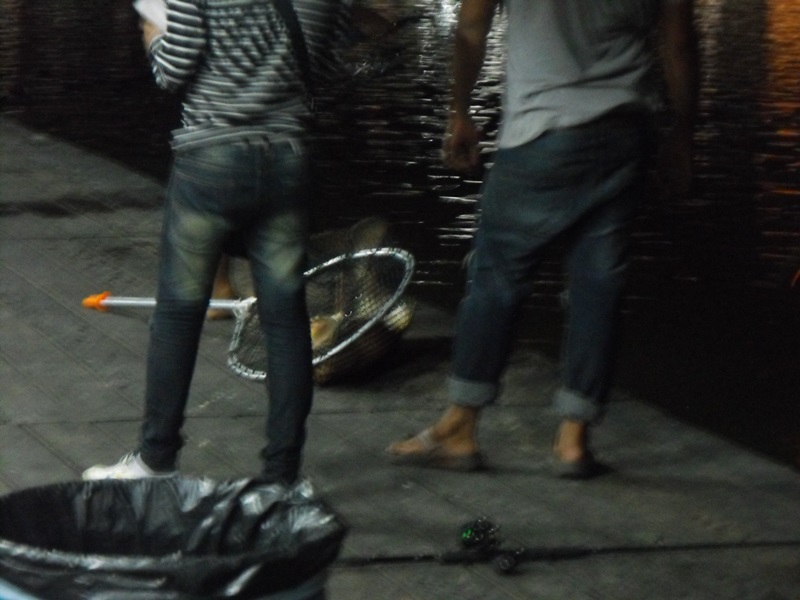 แล้วก็มาเรื่อยๆครับ

อัดปลากลางฝนนี่มันเปียกนะ

 :laughing: :laughing: :laughing: :laughing: