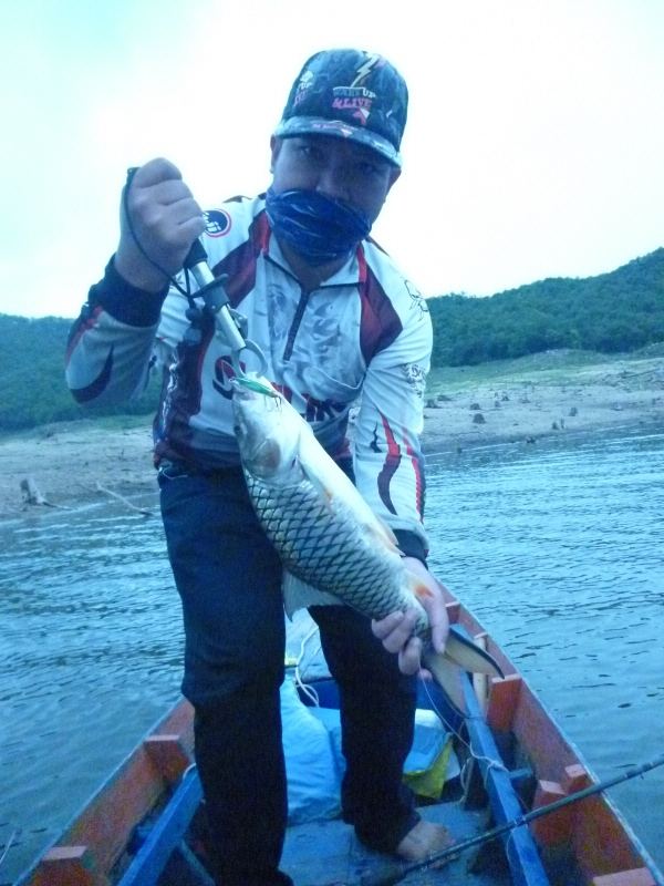 หลังจากแวะกินข้าวเสร็จกก็เอาปลาไปไว้ ถังไหญ่ที่เรือโน้นกลัวปลาเน่า ก็ออกเดินทางต่อครับผม

จั่วเพิ่