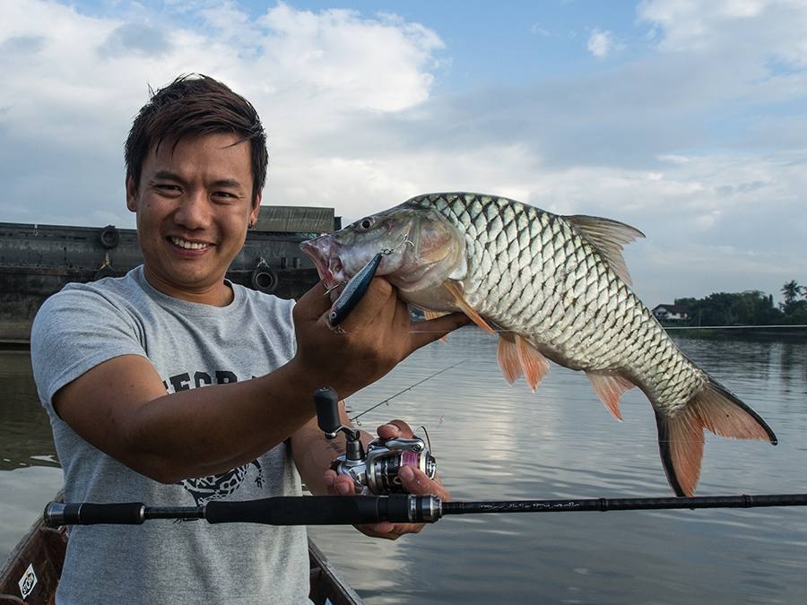 
 [center] [b]ภาพน้อยครับ ถ่ายวิดีโอซะมากกว่า กระสูบนอนหลังเรือตอนเช้านี่แน่นอนสุดๆ
Rod: Geecrack 