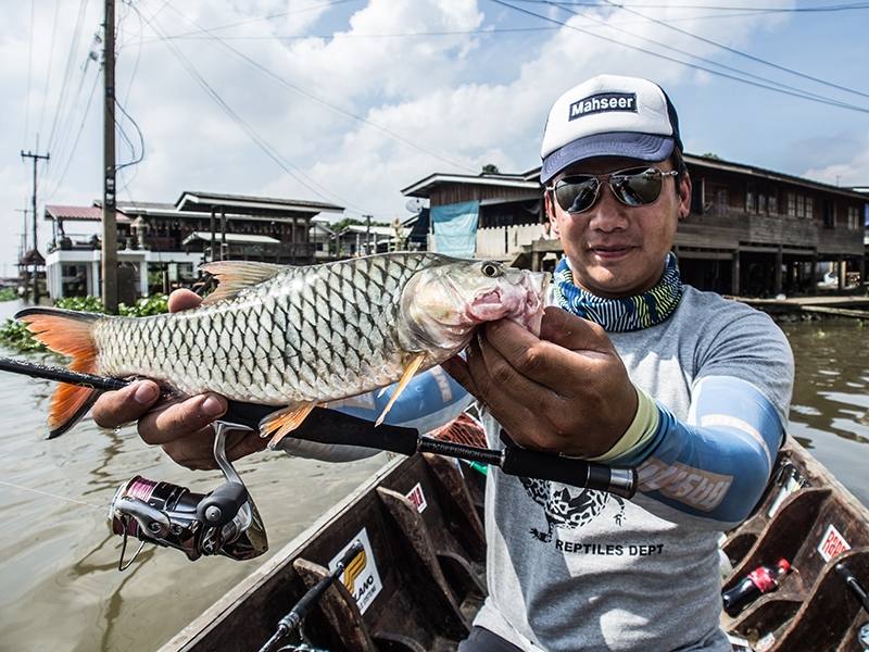  [center] [b] Light Game บ้าง

Rod: Geecrack Double Dutch

Model: Walnuts L 3-10lbs [/b][/center