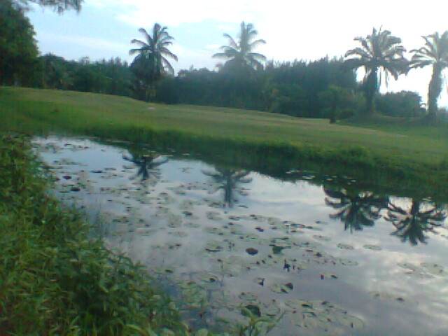                                                                                          ก่อนกลับบ้า