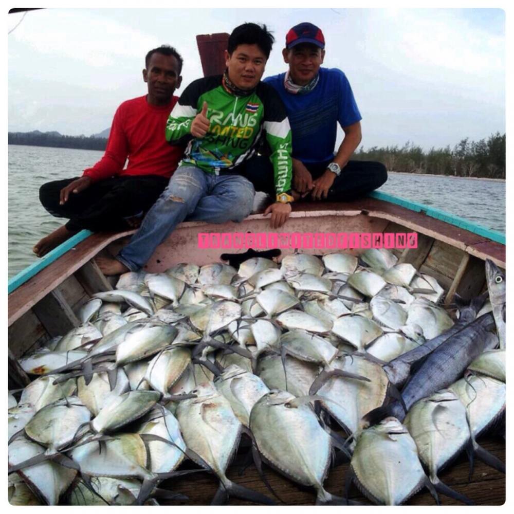 สถิติใหม่ทะเลตรังกับ Tranglimitedfishing (หมายลับ) Jiging กะมองเเก้มบาง 2 ชั่วโมง 89 ตัว 

 :love: