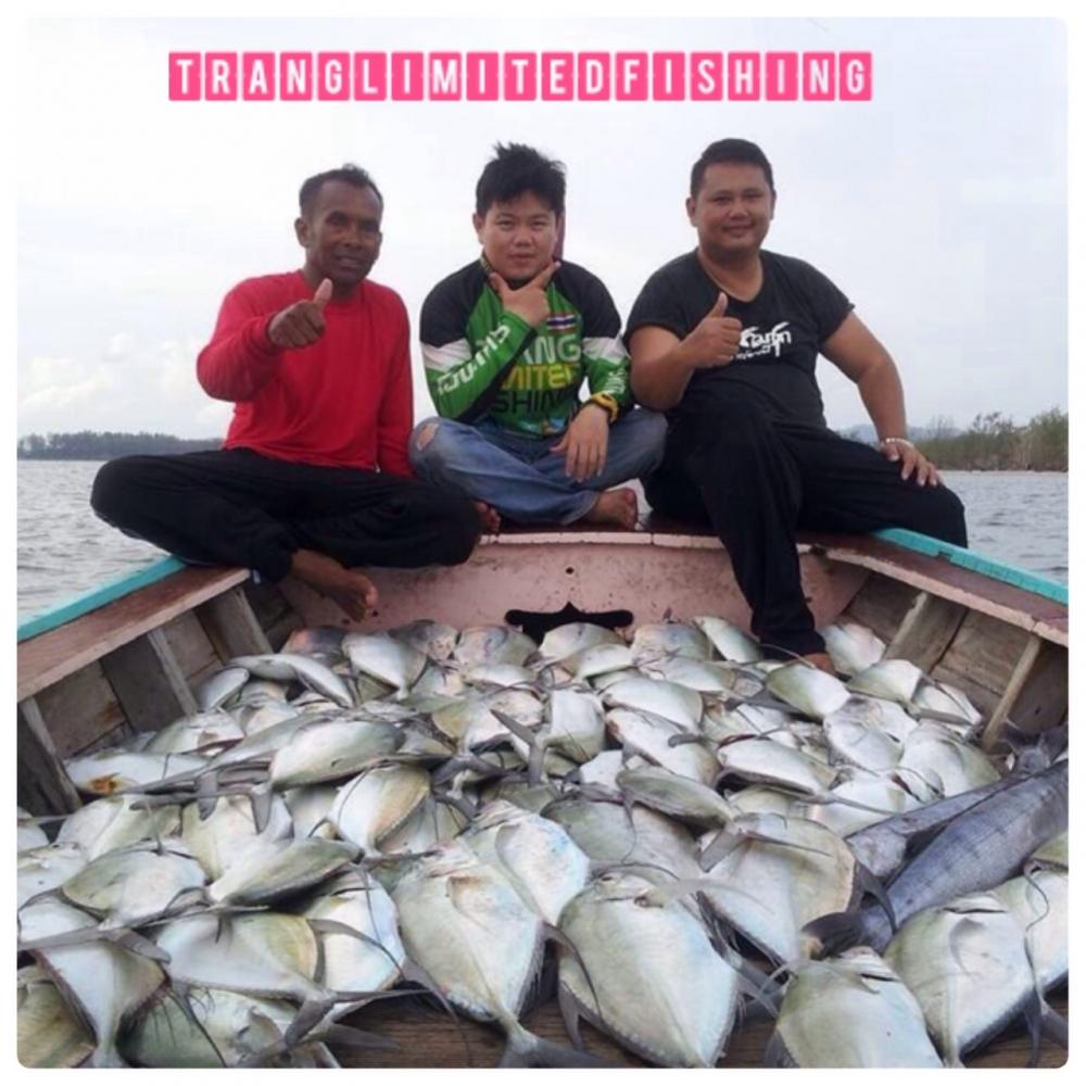 สถิติใหม่ทะเลตรังกับ Tranglimitedfishing (หมายลับ) Jiging กะมองเเก้มบาง 2 ชั่วโมง 89 ตัว 

 :love: