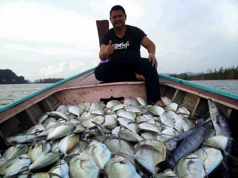สถิติใหม่ทะเลตรังกับ Tranglimitedfishing (หมายลับ) Jiging กะมองเเก้มบาง 2 ชั่วโมง 89 ตัว 

 :love: