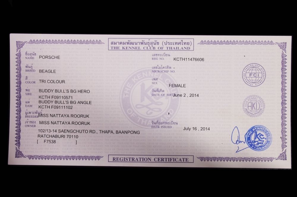 REGISTRATION CERTIFICATE ของเจ้าปอร์เช่ ค่ะ

 :smile: