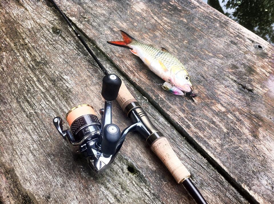 rod...shimano cardiff area limited 3-6 lb
reel...shimano stella 1000ss
 :heart: :heart: :heart: :h