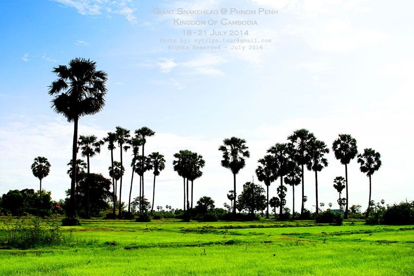 ทิวทัศน์สถานที่ ณ จุดที่เราลงเรือ [i][Subtitle: the view at the spot where we have to get on the boa