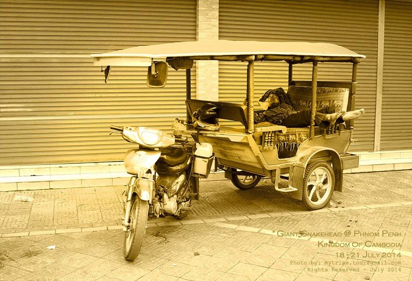 ตัดภาพมาตอนเช้าตรู่ของวันอาทิตย์ที่ 21 กรกฏาคม 2557 พี่ยุทธวางแผนตั้งแต่เมื่อคืนแล้วว่า จะขออาสาเป็น