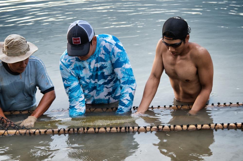 ในหัวของวีดีโอที่บอกตัวสองเมตร สามสิบ

อาราไพม่า

Arapaima