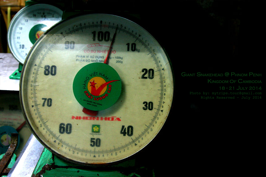 รับชั่งปลาน้ำหนักไม่เกิน 100 กิโลฯ [Subtitle: Any fishes its weight does not over a 100 kgs are welc