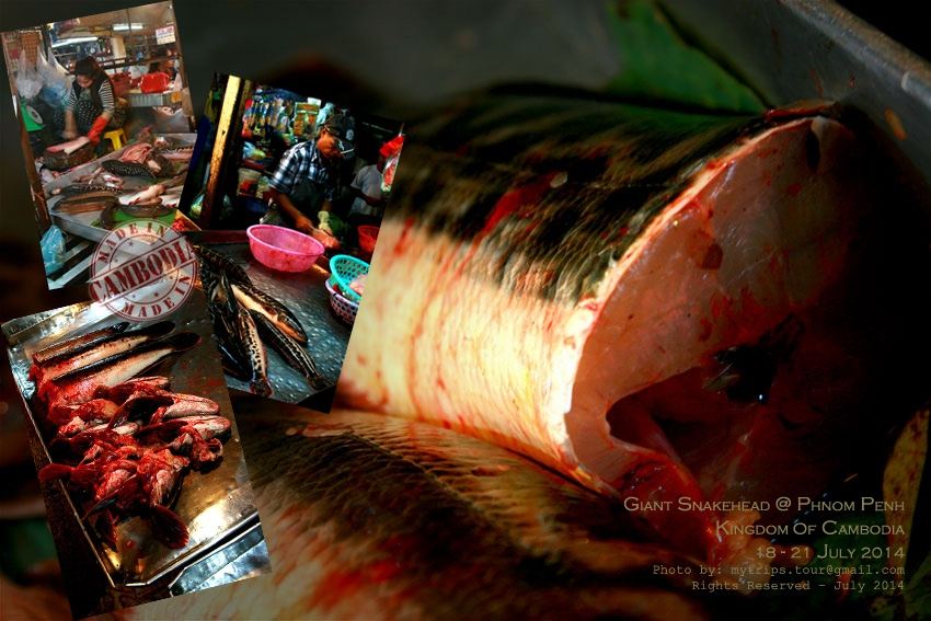 เนื้อปลาชะโดชำแหละสดๆในตลาด  [i][Subtitle: A fresh giant snakehead meat in the market][/i]   :talk: