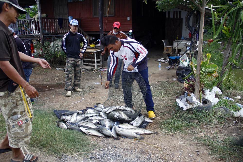 ท่าไหนดี