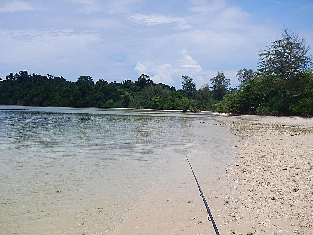 
 [center]เดินเลอะตามหาดไปเรื่อยๆครับ ถึงแนวหินค่อยเอาจริงเอาจัง 

:grin: :grin: :grin: :grin:[/c