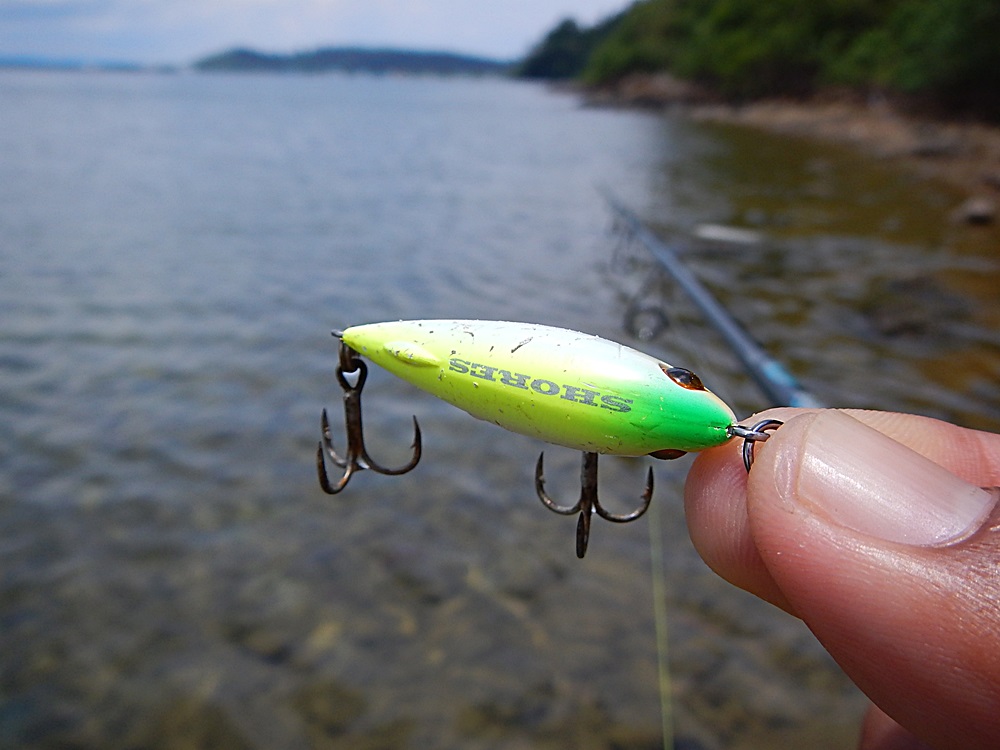 
 [center][b]Lure : Tackle House - SHORES Sinking Pool Shad 41mm 4g[/b][/center]

