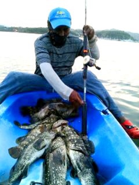ยกขึ้นมาบนเรือตอนจะพายกลับเข้าฝั่ง ด้านท้ายที่ผมนั่ง เต็มด้านหลังเรือเลยครับ 