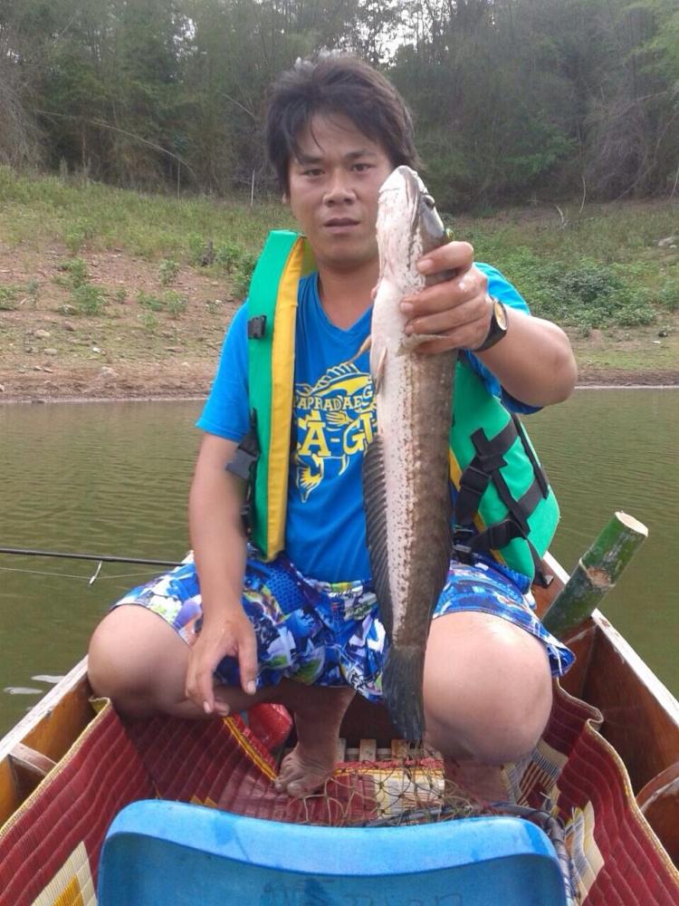 ไซร์สวยเลยคับปลาช่อน:laughing:
ที่เห็นข้างๆเรือเป็นที่เสียบคับเบ็ดนะคับ :confused: :confused: :con