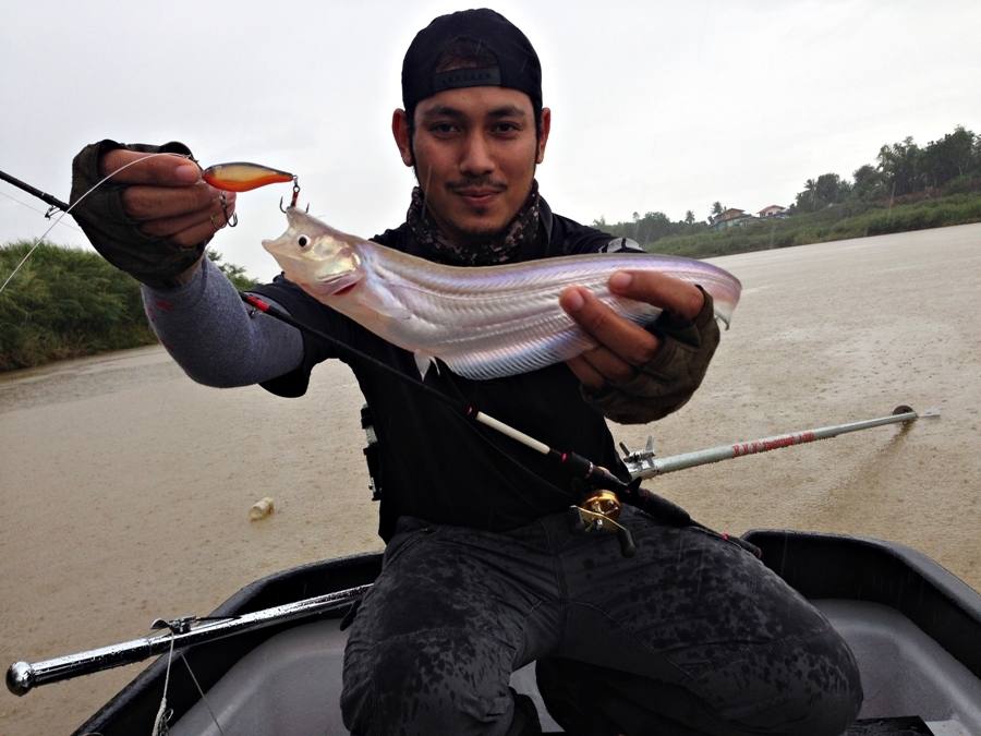 

 [center]ปลาแดงตัวนี้กัด  [b] RAPALA X-RAP SHAD 6 เซ็น[/b] เข้าเต็มๆ[/center]


 [center] :gr