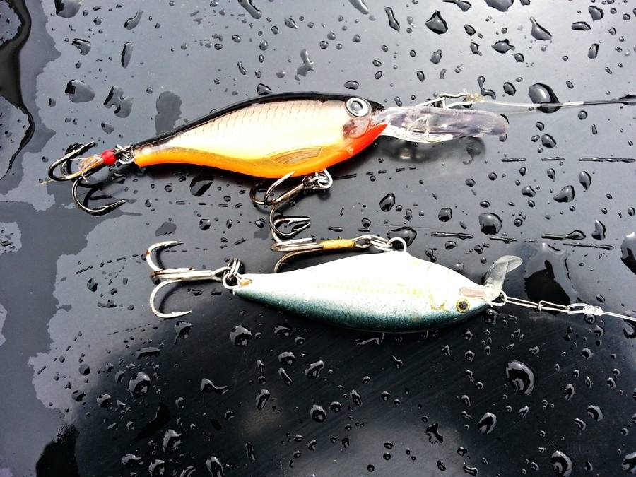 

 [center]เหยื่อที่ใช้วันนี้   [b]RAPALA Shad rap 5 ALB[/b]  สำหรับระดับกลางๆน้ำ และ [b]RAPALA X-