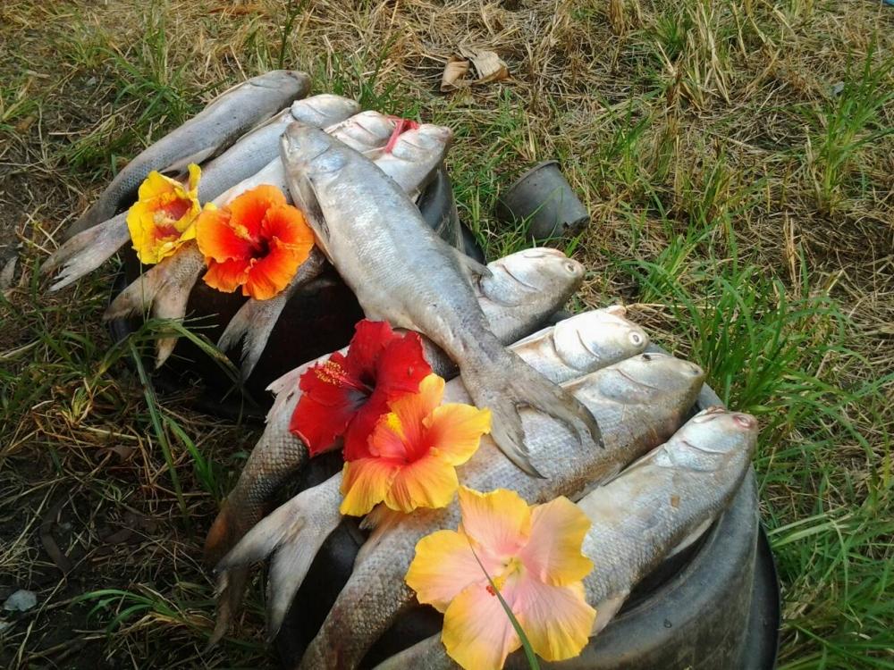 ไซร์นี้มากมาย :grin: :cheer:
