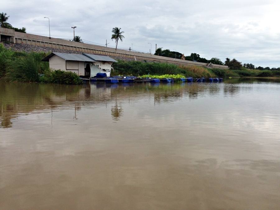 

 [center]พอฝนหยุดผิวน้ำก็เรียบกริป รมนิ่งตีเหยื่อสบาย[/center]

 [center] :grin: :grin: :grin: