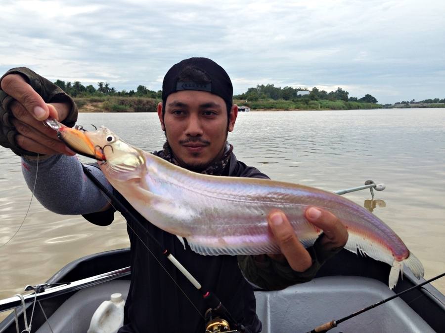 

 [center]กัด [b]RAPALA X-RAP SHAD 6 เซ็น[/b] อีกแล้ว[/center] 

 [center] :grin: :grin: :grin:
