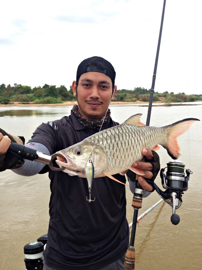 

 [center]เทพเจ้าพระยาทำงานจนได้ [/center]

 [center] [b]RAPALA Shad rap 5 ALB[/b][/center]

