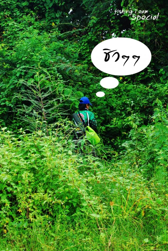 โปรเม่นบอกวันนี้ชิวๆ  :laughing: :laughing: :laughing: :laughing:
