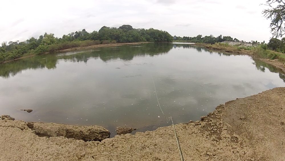 ฝูงกระแหขึ้นเยอะมาก ขึ้นกินอาหารที่ลอยตามน้ำมา

แต่ไม่ได้เอา dry fly มา ไม่งั้นมีความบันเทิงแน่
