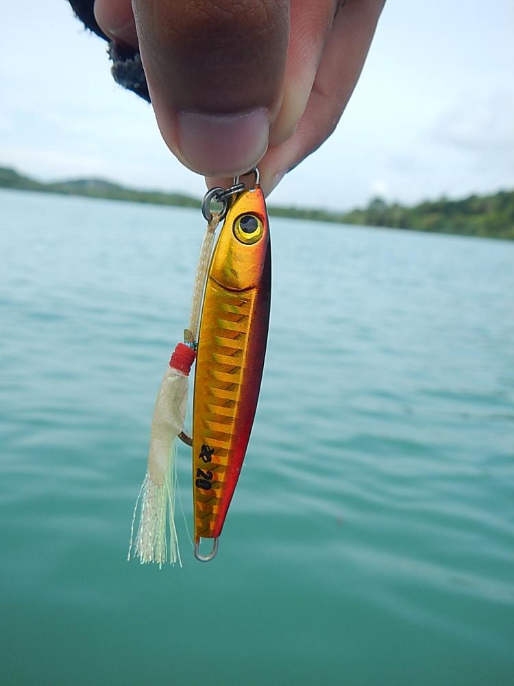 
 [center]งั้นเอาอ้ายนี่เลยล่ะกัน เอาให้ถึงหน้าดินเลย Lure : Jig Xesta Afterburner 20 g[/center]

