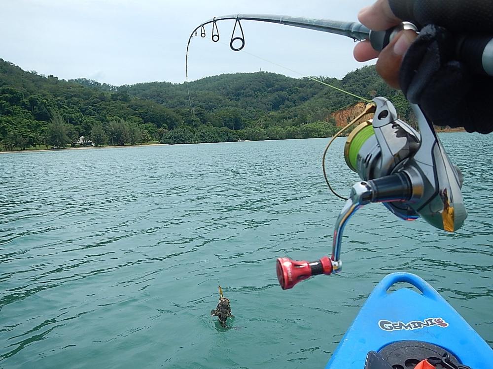 
 [center]มีมุดลงกองนิดหน่อยครับ แต่ก็ไม่มีปัญหา 
ด้วยคัน LEGENDXTREME SPINNING ROD LXS76MF2 6 - 1