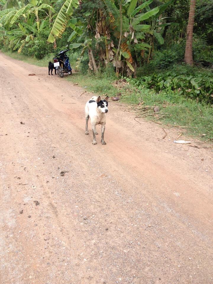  [center]มีการต้อนรับเป็นอย่างดีจากเจ้าทิ่น[/center]