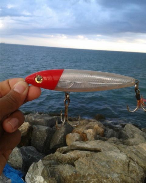 ตัวที่ 2 rapala x-rap walk 13 cm. :cheer: :cheer: