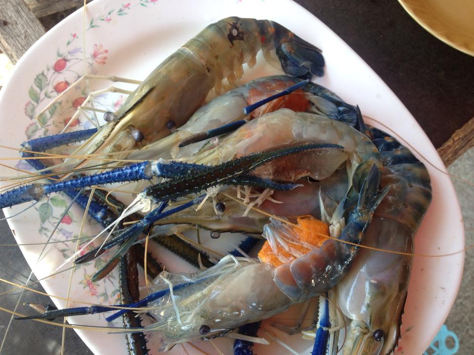 เอาแหระ ถึงเวลามาลิ่ม ลด กุ้งแม่น้ำบางประกงกันแย้วแหระ อิอิ 