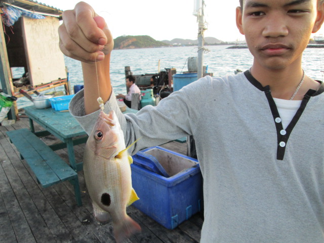 ข้างปานก่อนอาหารเช้า

 :sleeping: :sleeping: