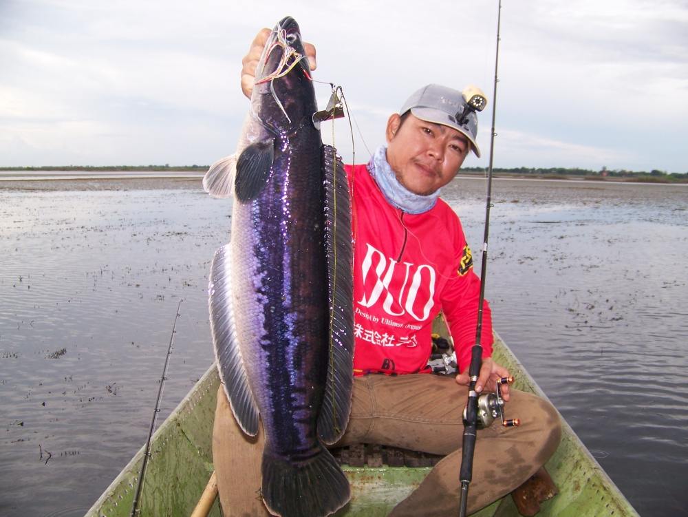 ตัวนี้มันมากัดข้างๆเรือครับ  :cheer: :cheer: